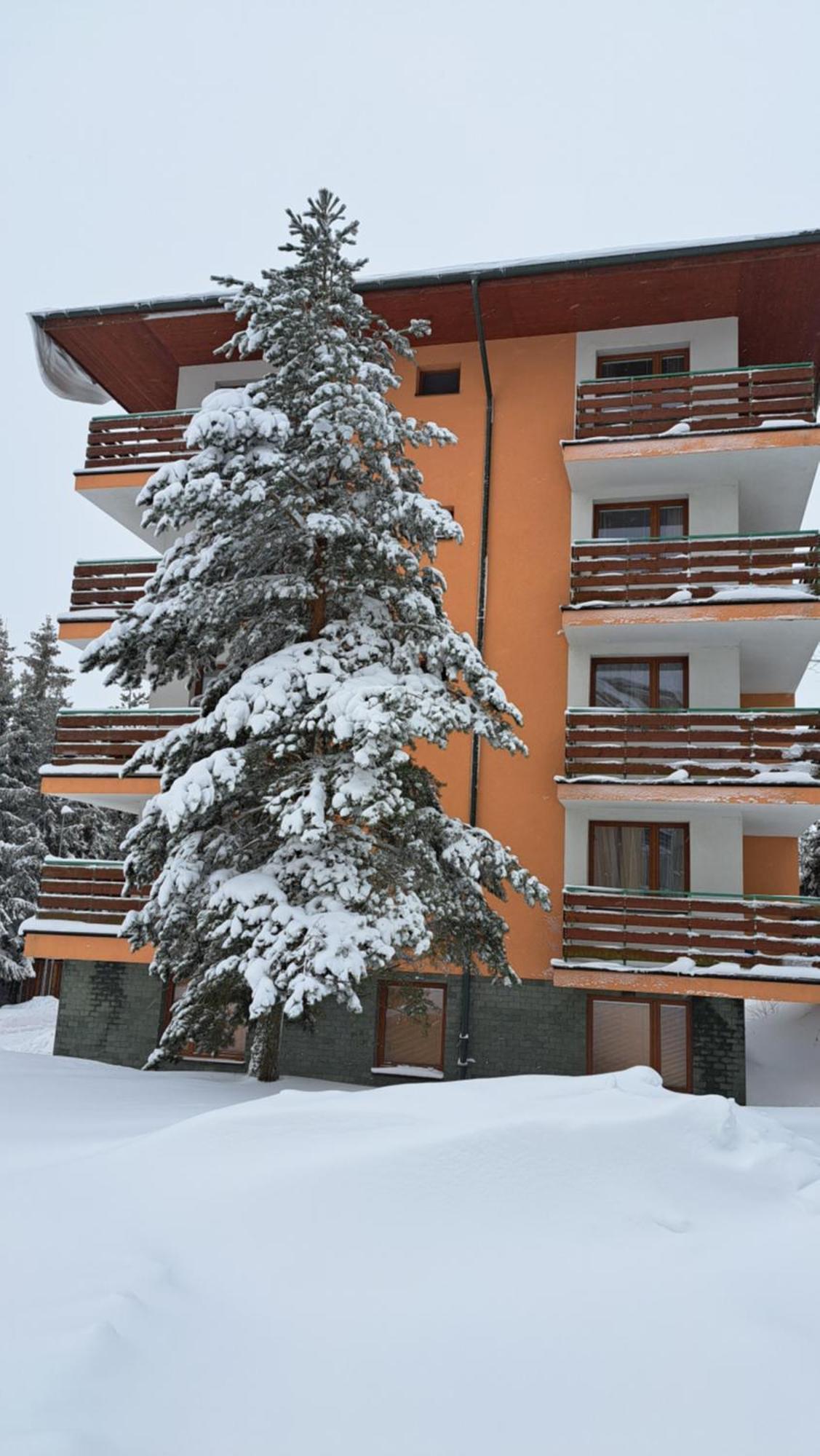 Apartman Palenica II ตาตรันสกา ชตราบา ภายนอก รูปภาพ